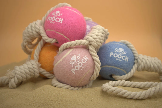 Dog Ball