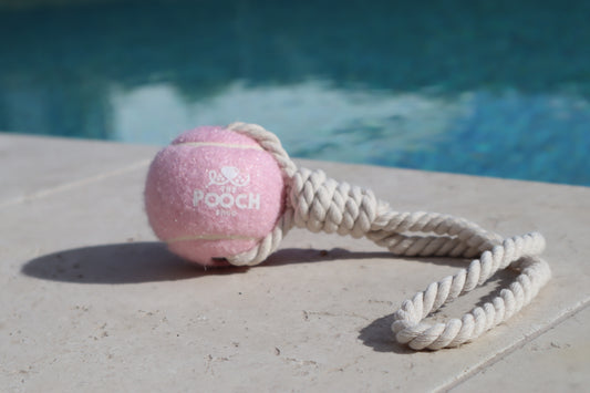 Tennis Ball Pink