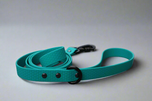 Hexa Dog Leash Hunter Green
