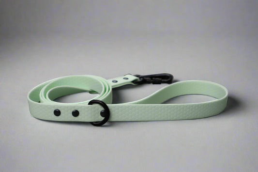 Hexa Dog Leash Mint