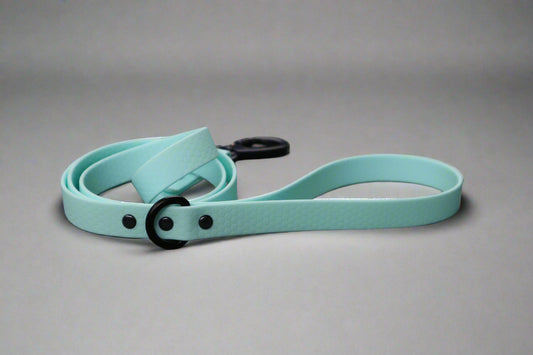 Hexa Dog Leash Pastel Blue