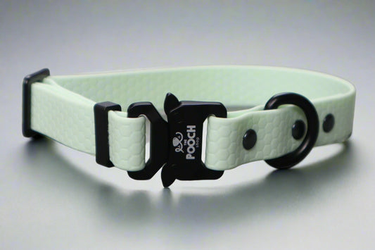 Hexa Dog Collar Mint