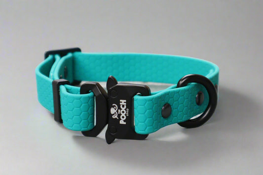 Hexa Dog Collar Hunter Green